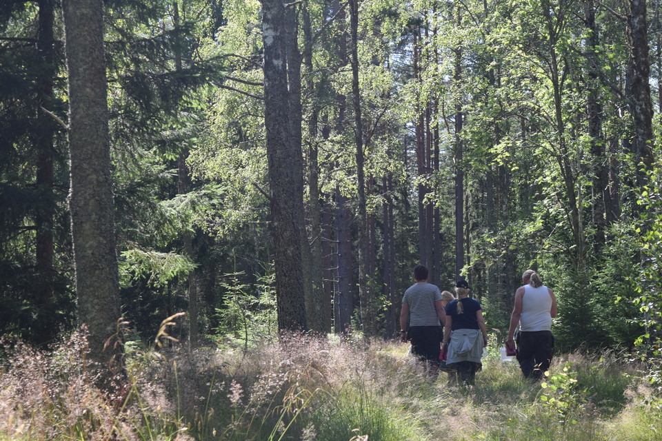 Vandrare som går i solig skog