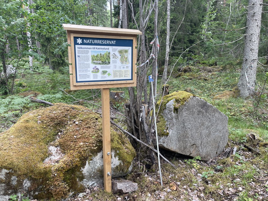 Informationstavla vid en mossig stor sten och i början av en stig.