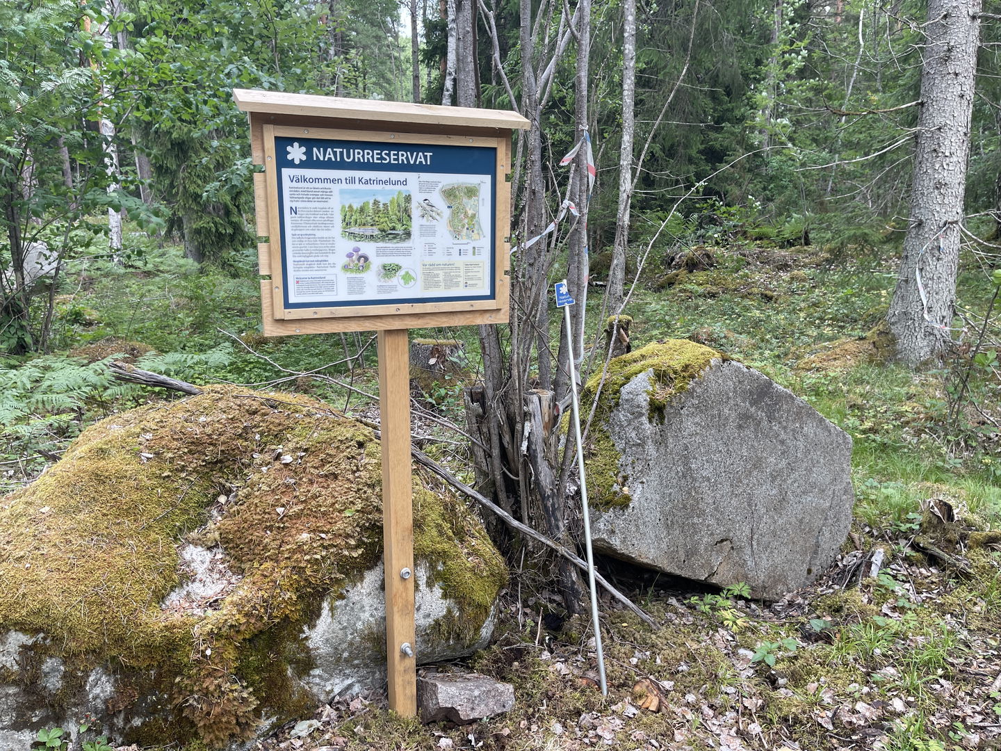 Informationstavla vid en mossig stor sten och i början av en stig.