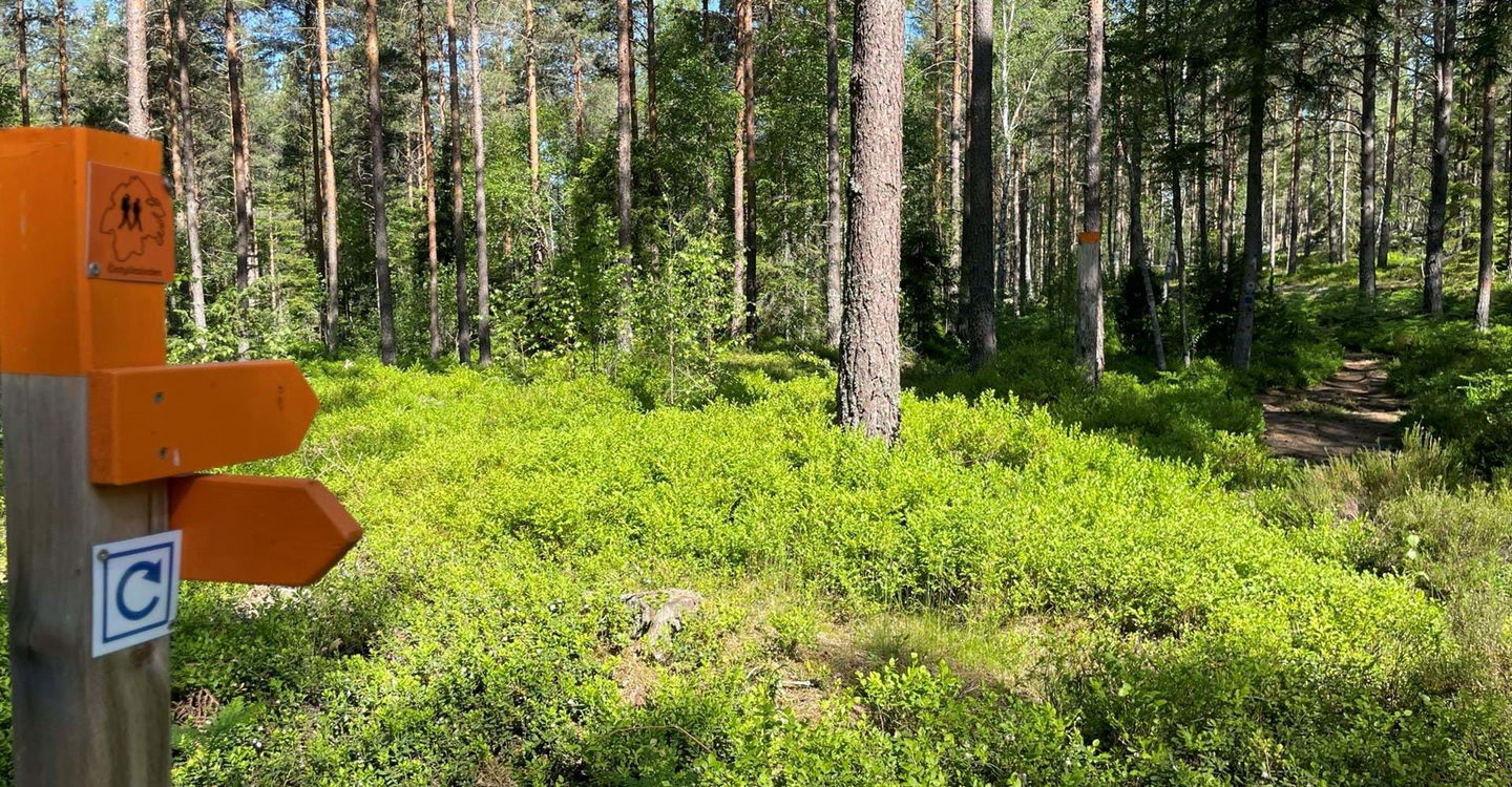 Etapp: Åttan i Norrköping