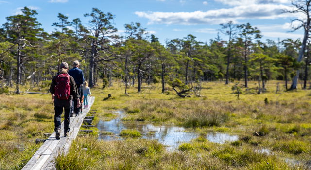 Kallgatburg, Naturreservat