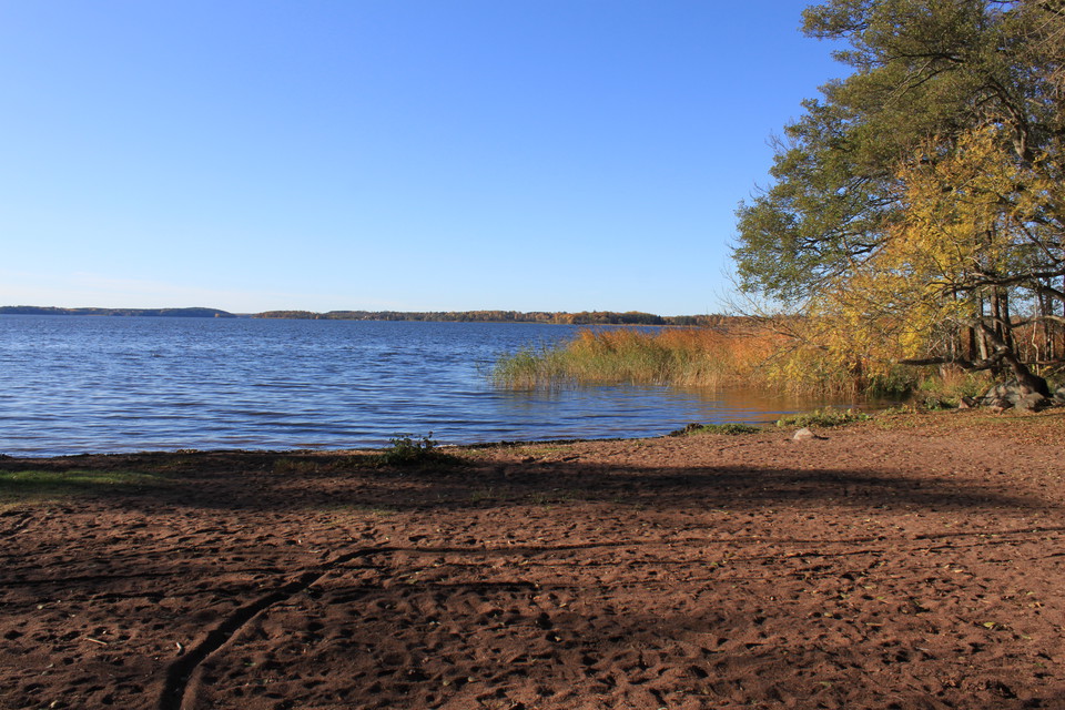 En plan sandstrand vid vattnet. På ena sidan finns det träd och vass.