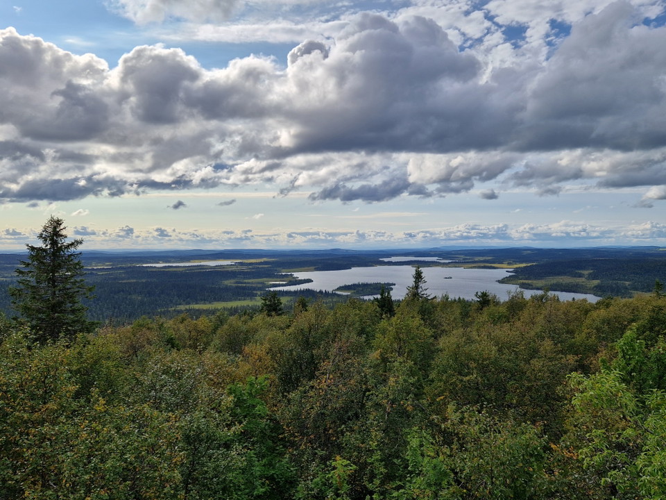 Utsikt från tornet på Alsberget.