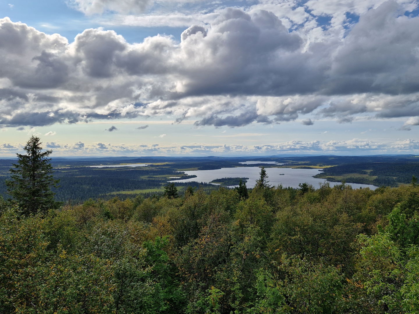 Utsikt från tornet på Alsberget.