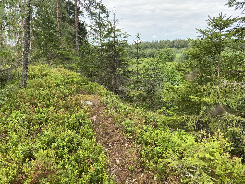 Utsikt över Joksmossen.
