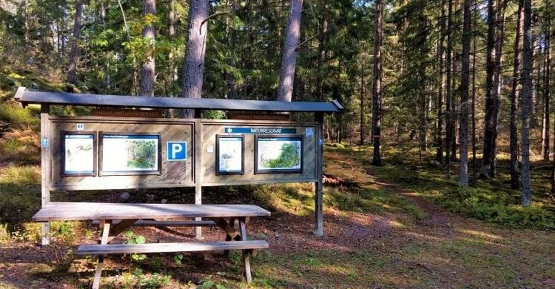 Hälla naturreservat, startplats