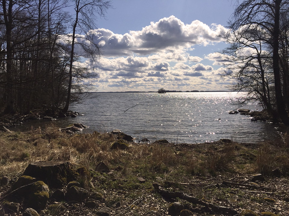 Vik med vatten som glittrar i vårsolen.