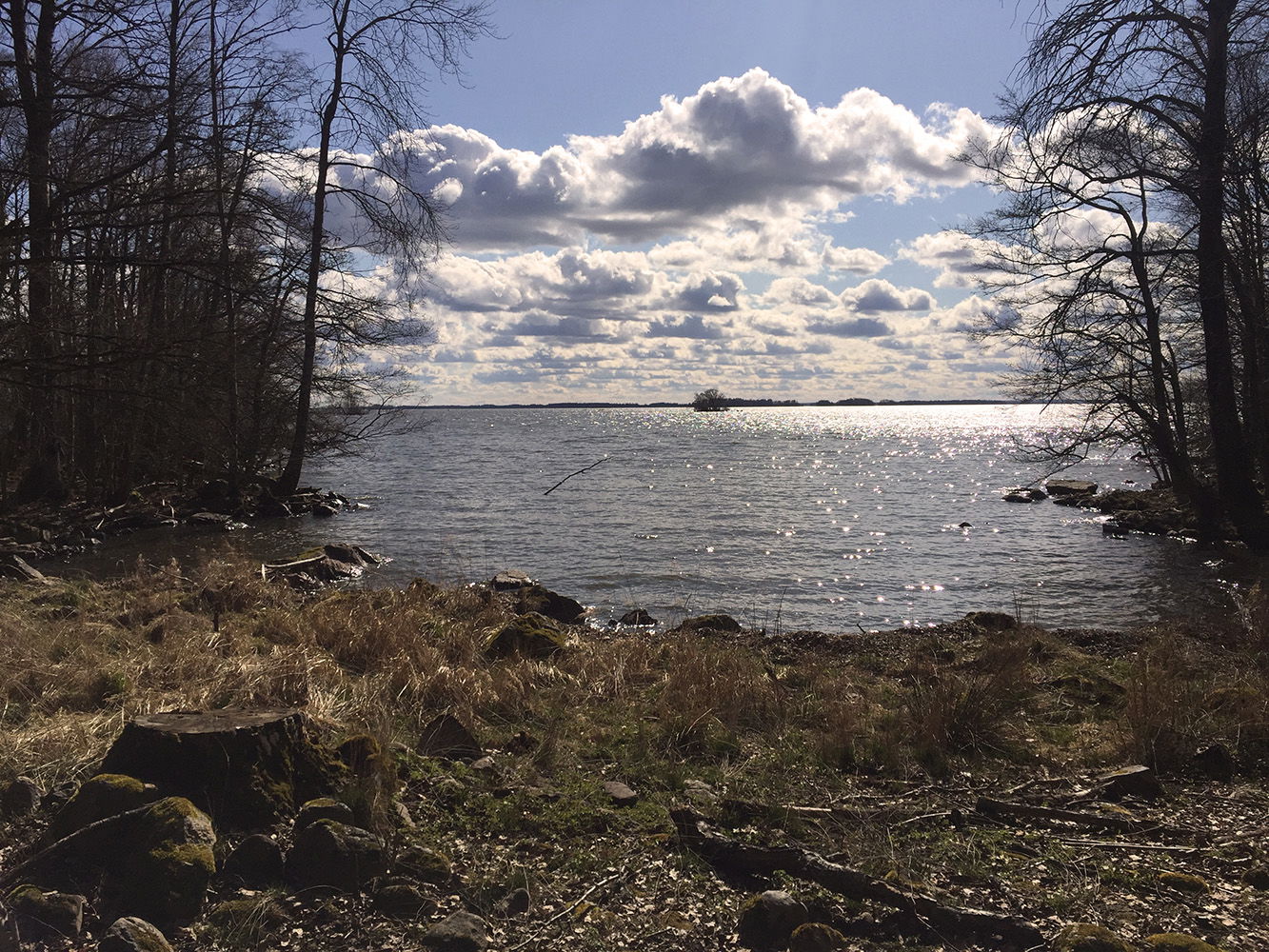 Vik med vatten som glittrar i vårsolen.