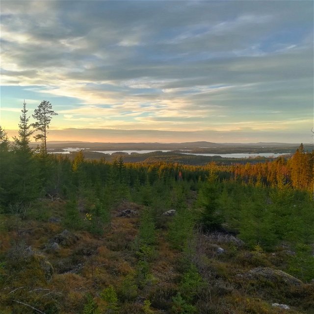 Utsikt från Myggberget.