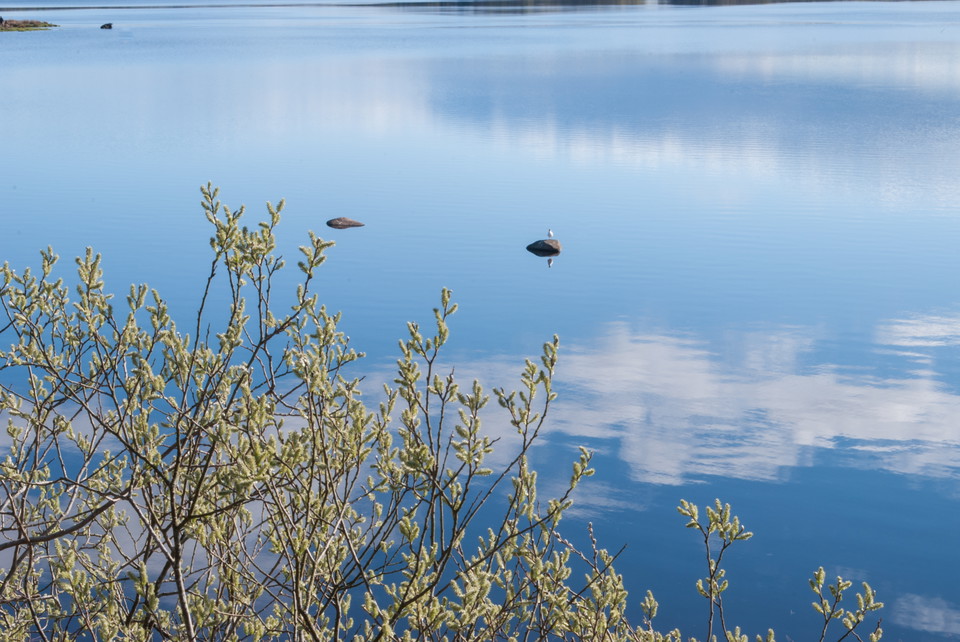 Fotograf: Tobias Ivarsson