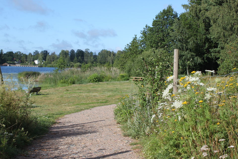 Gångväg mellan hagar, blommor växter i kanten. Längre bort syns bänkar på en gräsmatta ner mot en sjö.
