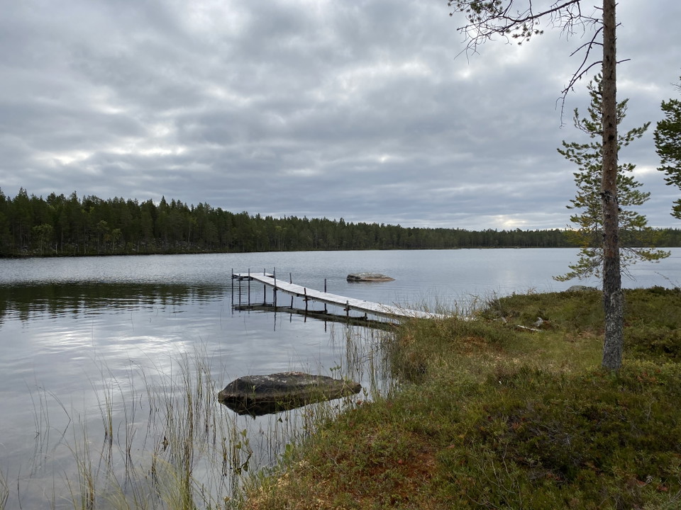 En träbrygga i en sjö. 