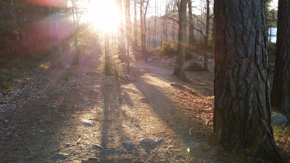 Stigen på södra sidan om Kottlasjön. Foto Lidingö stad