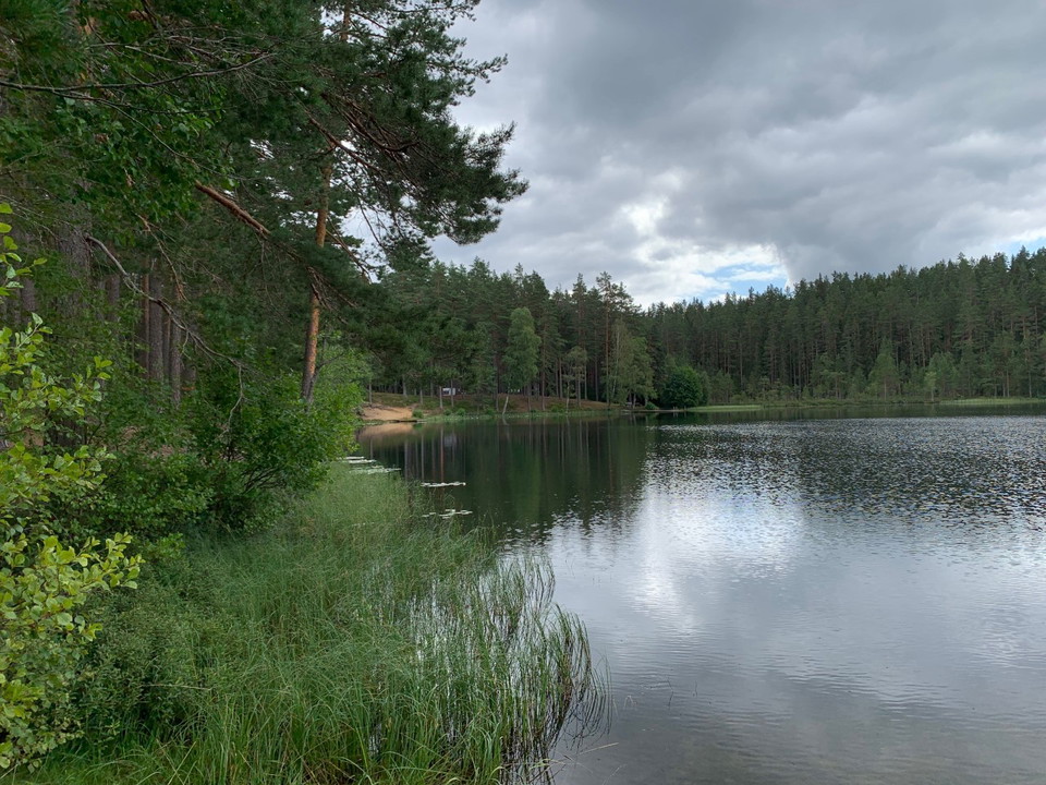 Vy över Ljustjärn