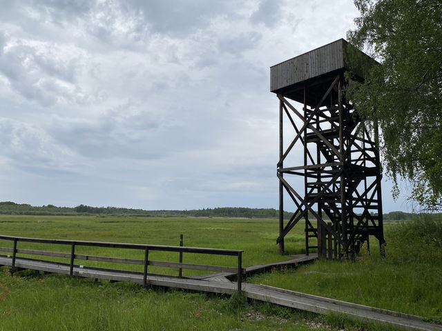 Utsiktstorn, Nordmyran