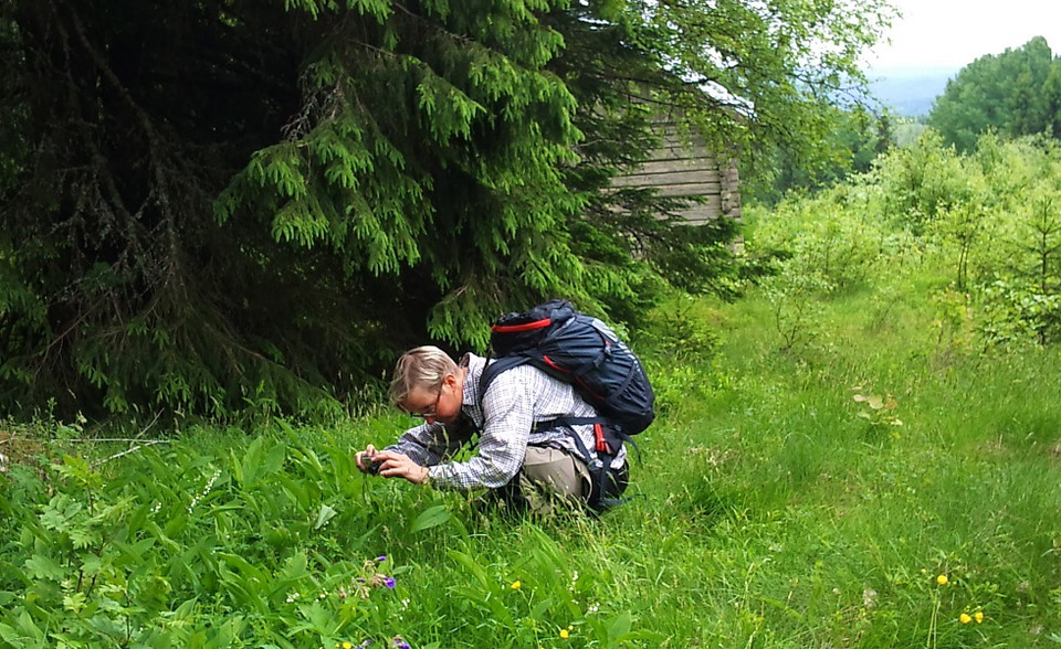 En man som fotar något i gräset