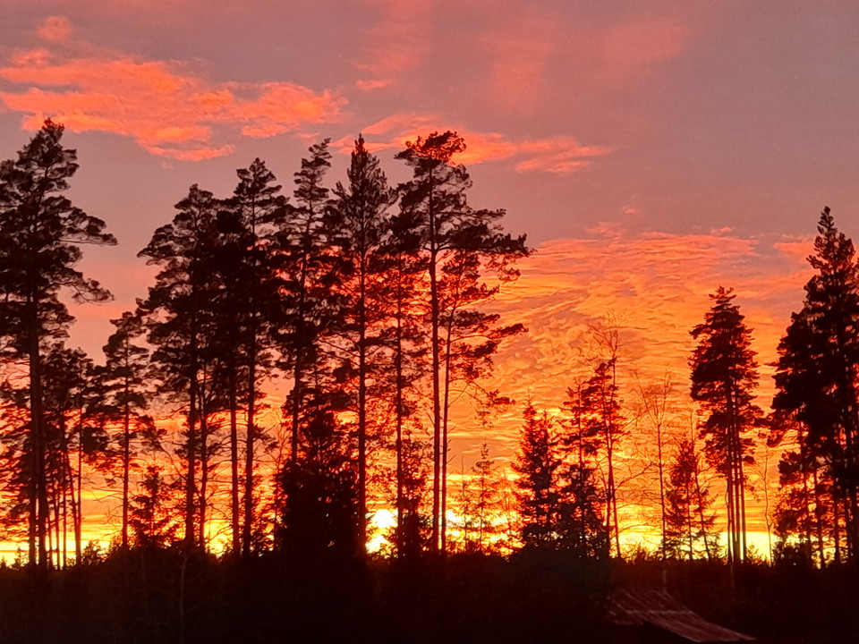 solnedgång bakom hygge