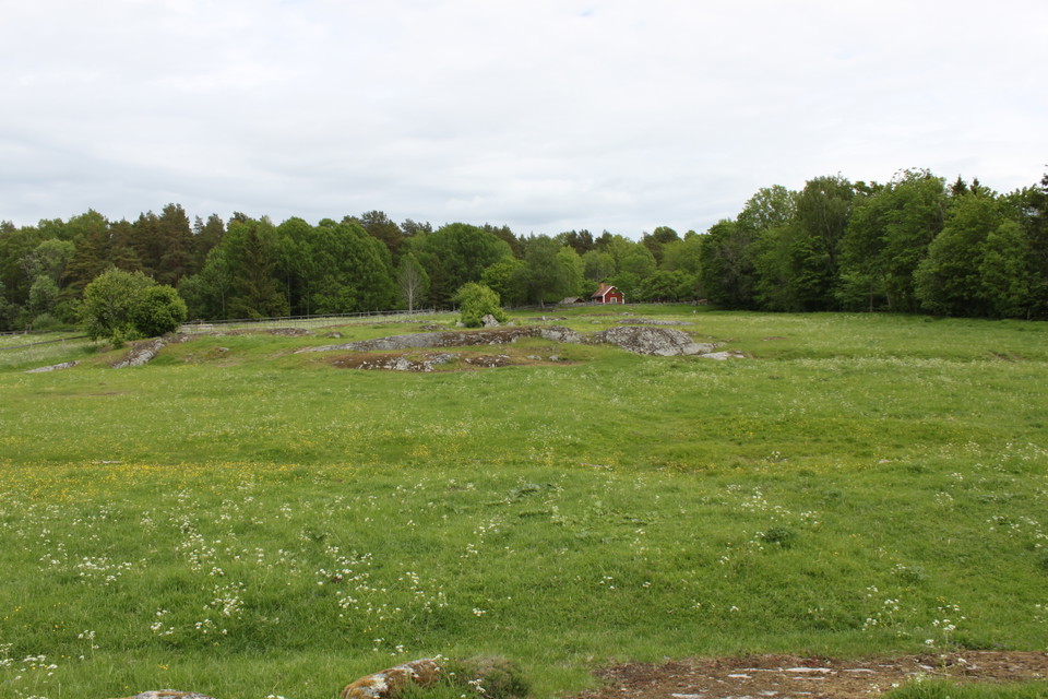 En stor hästhage med flera stenhällar och skog i bakgrunden.