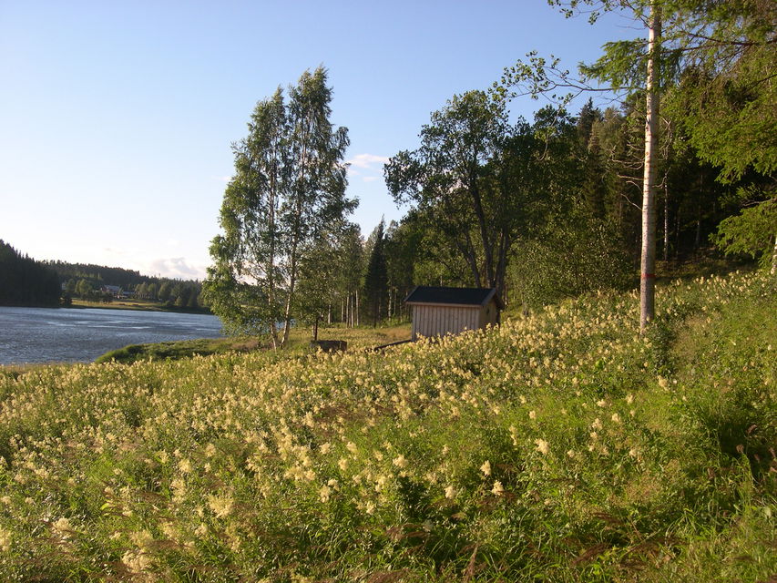 Garveridalen