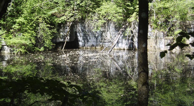 Kalkbrottsdammen, Latorpsängarna.