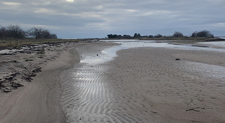 sandstrand i höstljus