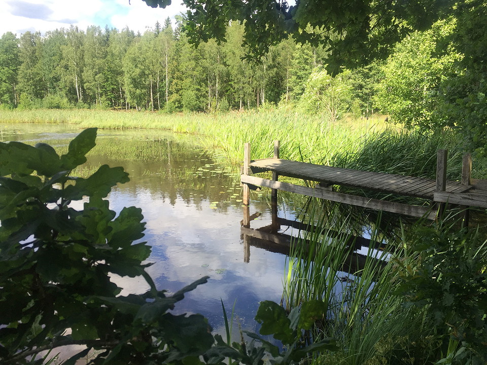 Liten brygga vid sjö.