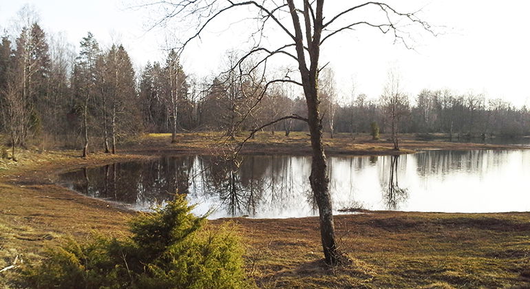 Ettö, Naturreservat - Gnosjö Kommun | Naturkartan