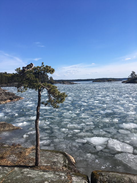 Krossad is vid Utnäset i Vättern