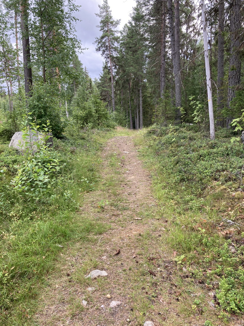 Pålgårdsleden