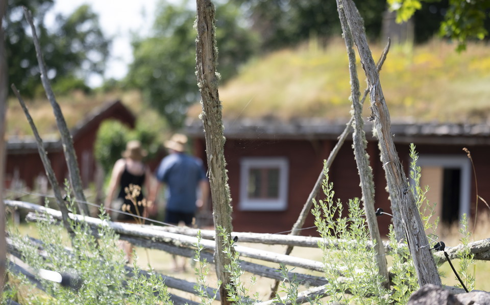 Linnes stuga och en gärdsgård