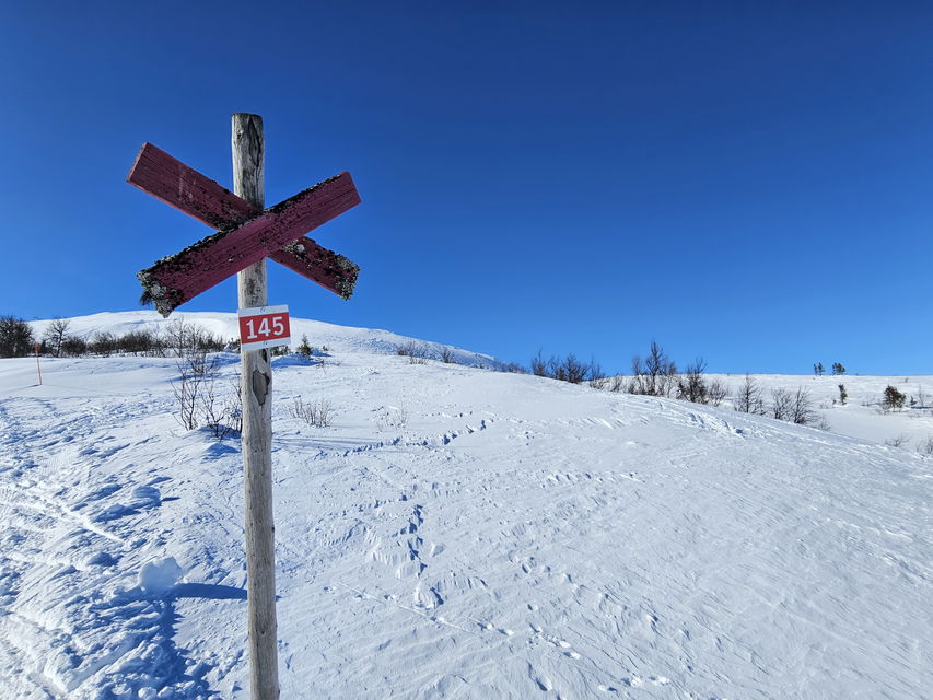 Ledkryss på fjällsida med snö på.