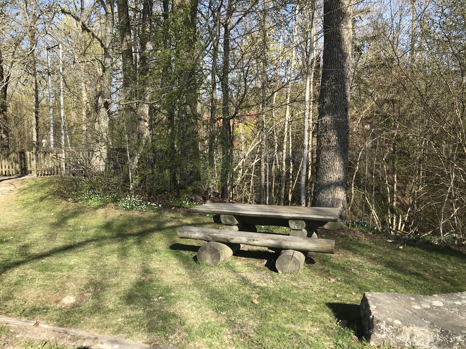 Bänkbord av stockar och grova träplankor.