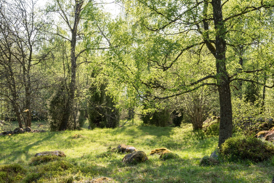 Fotograf: Tobias Ivarsson