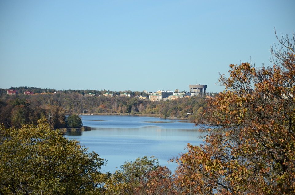 Utsikt över Brunnsviken från berget i Bellevueparken.