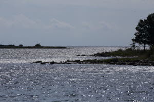 Fiske längs kusten, Kalmar sund