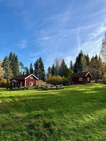 Råbyskogen - Minnen från en svunnen tid