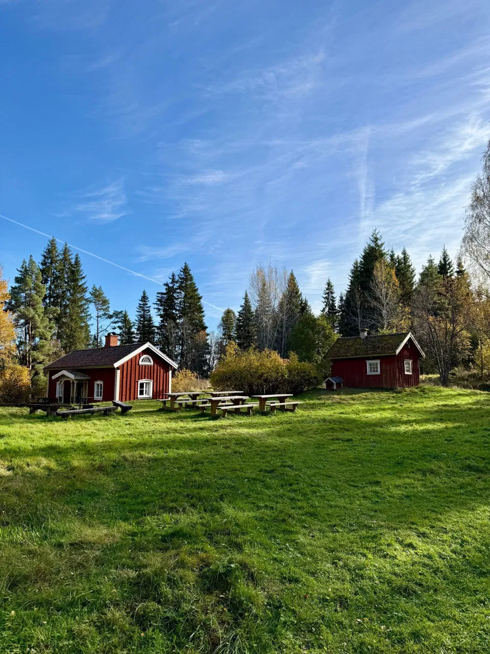 Råbyskogen – Erinnerungen an eine vergangene Zeit