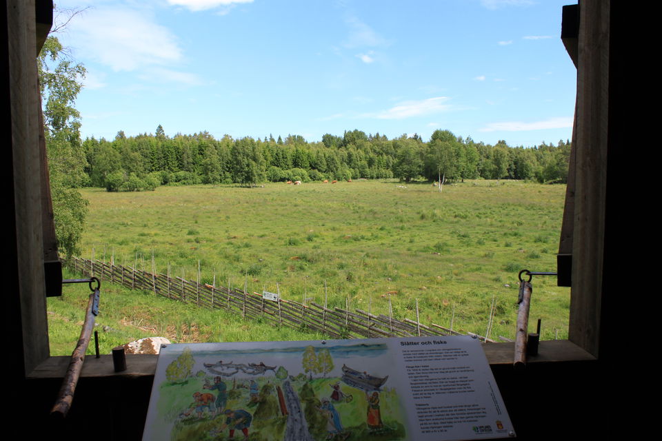 Ett öppet fönster mot gärdesgården och en stor hage. Vid fönstret finns en informationsskylt.