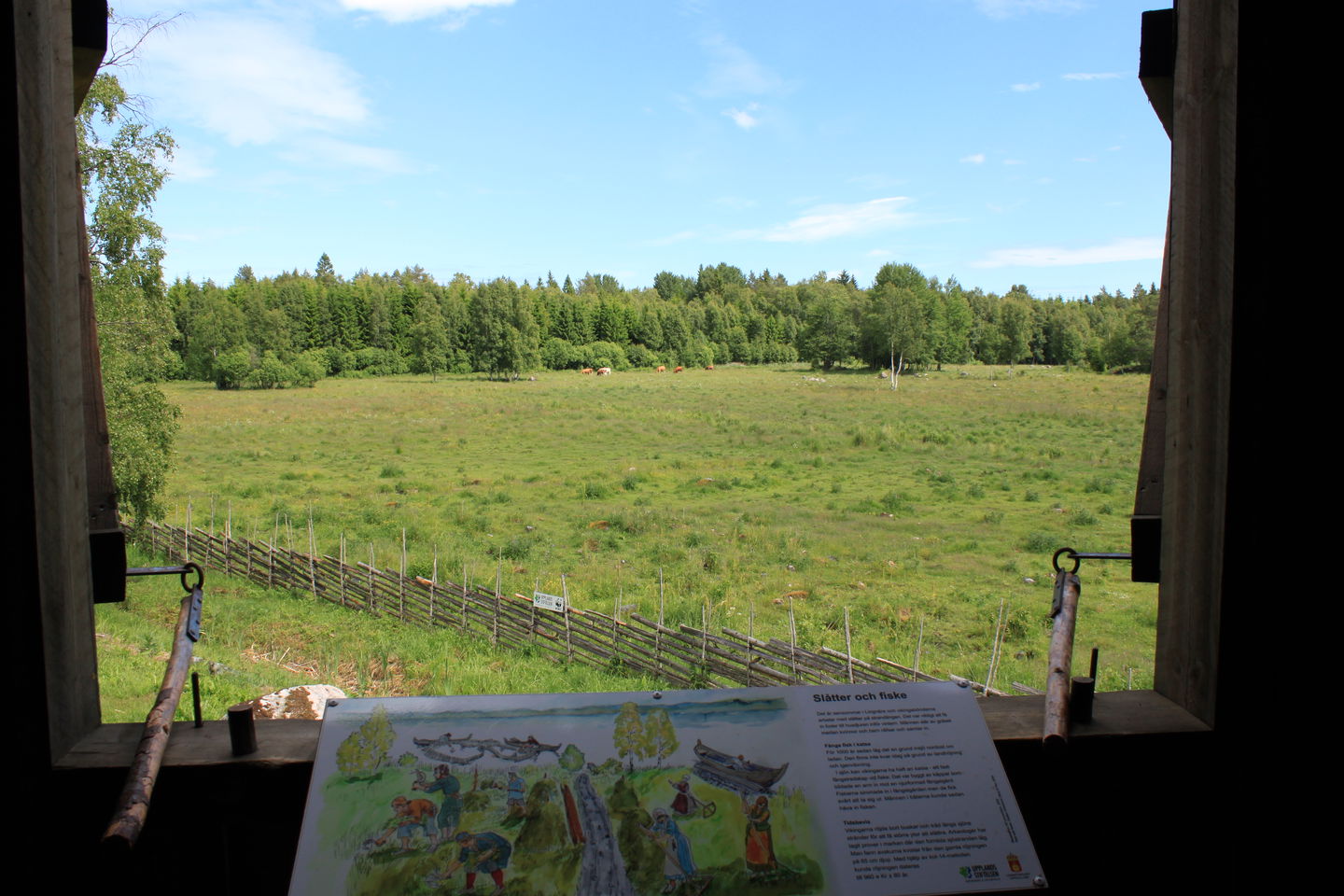 Ett öppet fönster mot gärdesgården och en stor hage. Vid fönstret finns en informationsskylt.