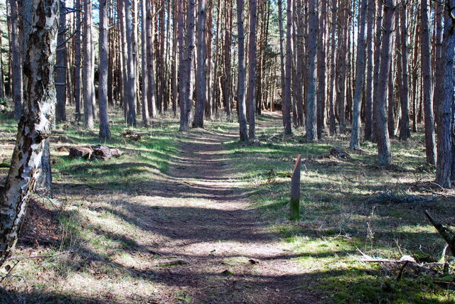 Gul vandringsled Nordkoster