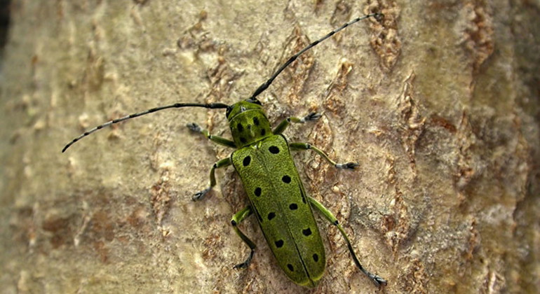 Fotograf: Thomas Johansson