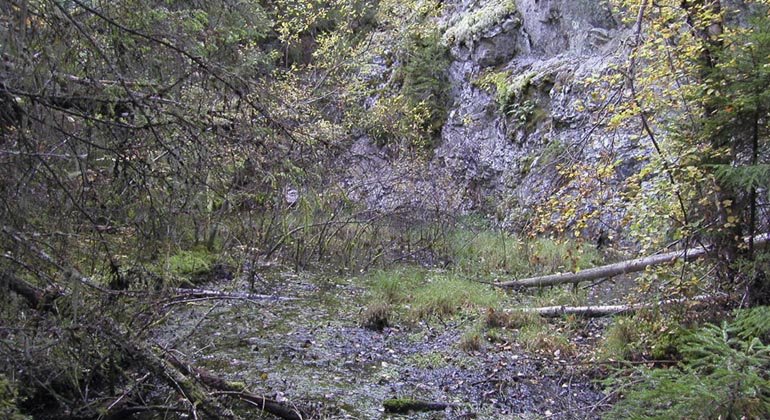Limberget, Naturreservat