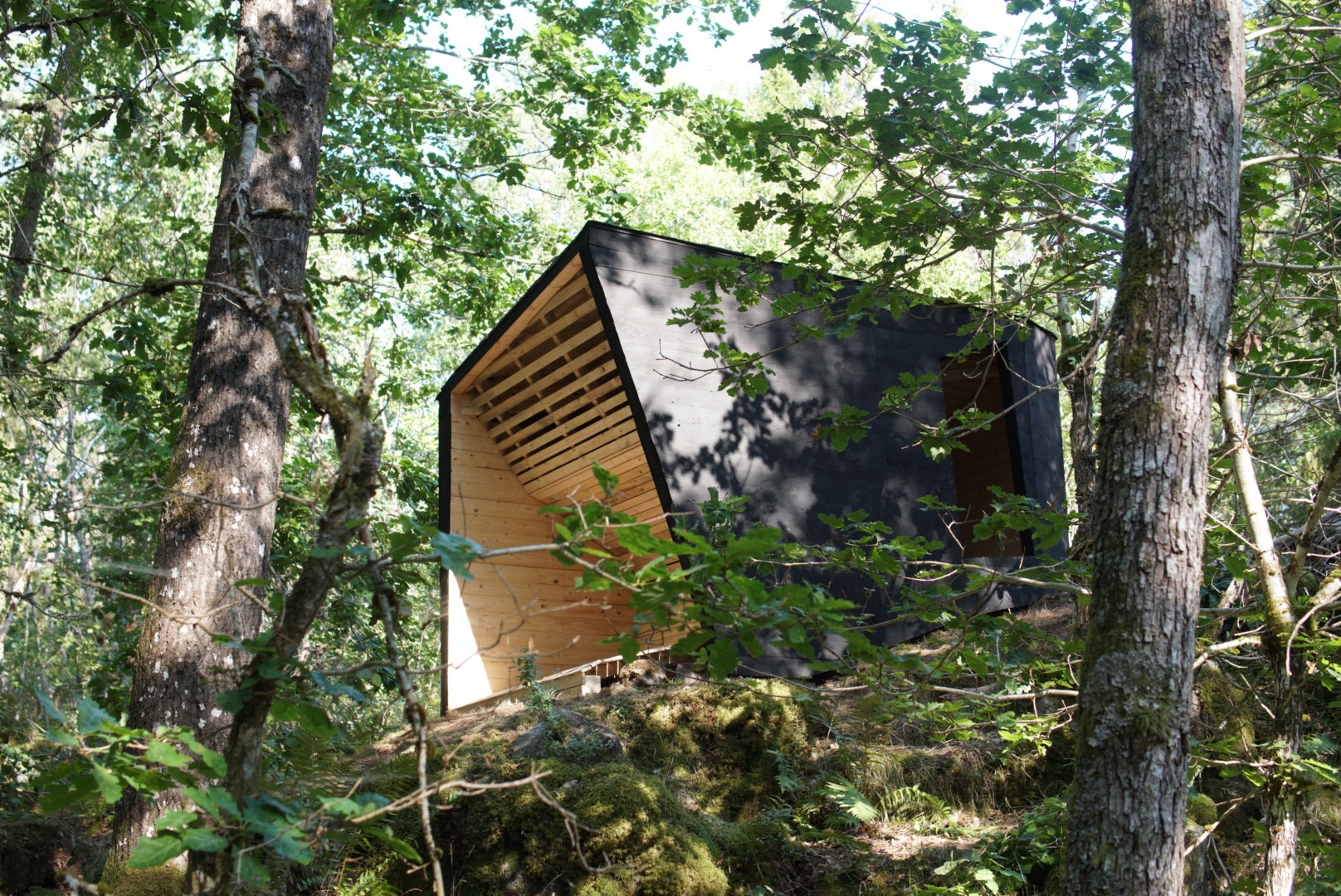 Marsbäcken - Rock View, Arknat