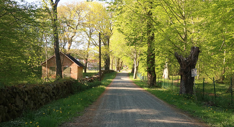Infartsväg med vågboden.