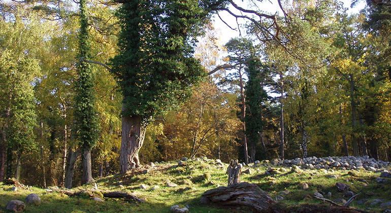 Fotograf: Anna Lindberg