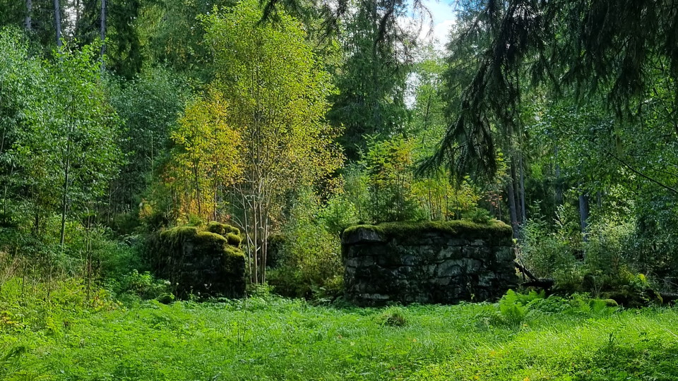Ruinlämning vid Övre Bruket.
