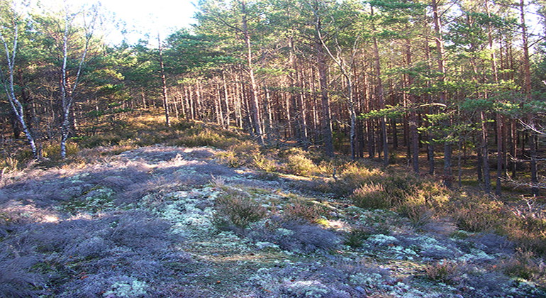 Fotograf: Malin Miller