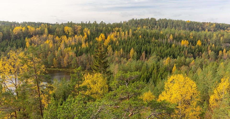 Utsikt över Bosagölen Etapp: Sundsudden-Malexander, Gransbo rundslinga
