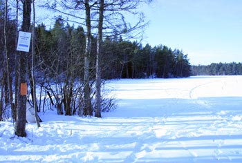 Sportfiskekortet, Gullsjön
