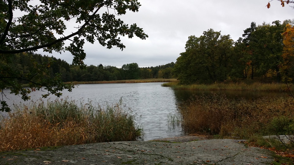 Ekholmsnässjön. Foto Lidingö stad